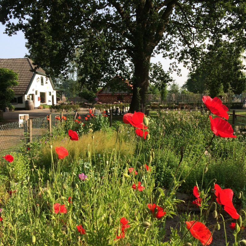 Natuurcamping Eelerberg - Overijssel - Open Camping Dag