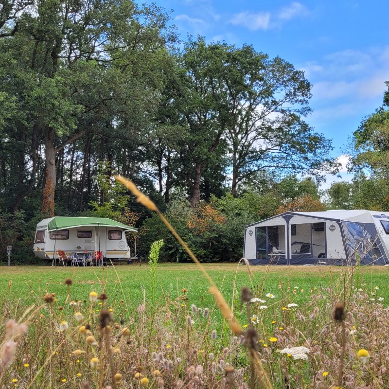 Camping Schoneveld - Gelderland - Open Camping Dag