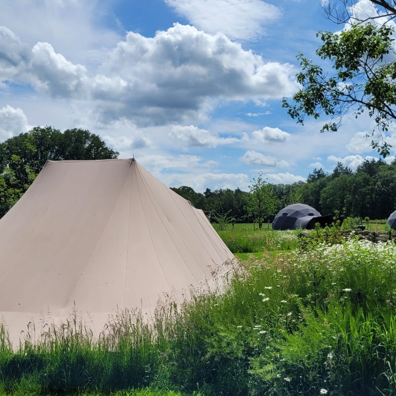 Camping Schoneveld - Gelderland - Open Camping Dag