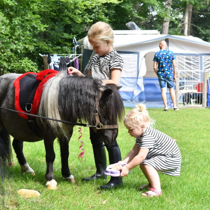 Ommerland - Overijssel - Open Camping Dag