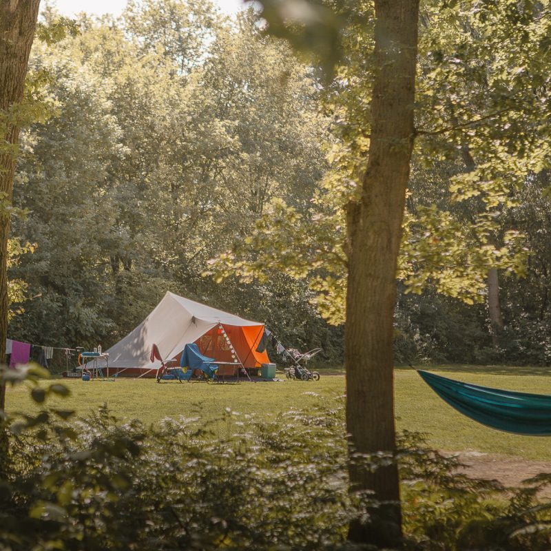 De Lemeler Esch Natuurcamping - Overijssel - Open Camping Dag