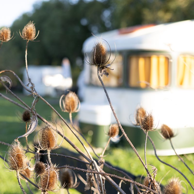 Re-Creatieoord de Hoogewaard - Gelderland - Open Camping Dag